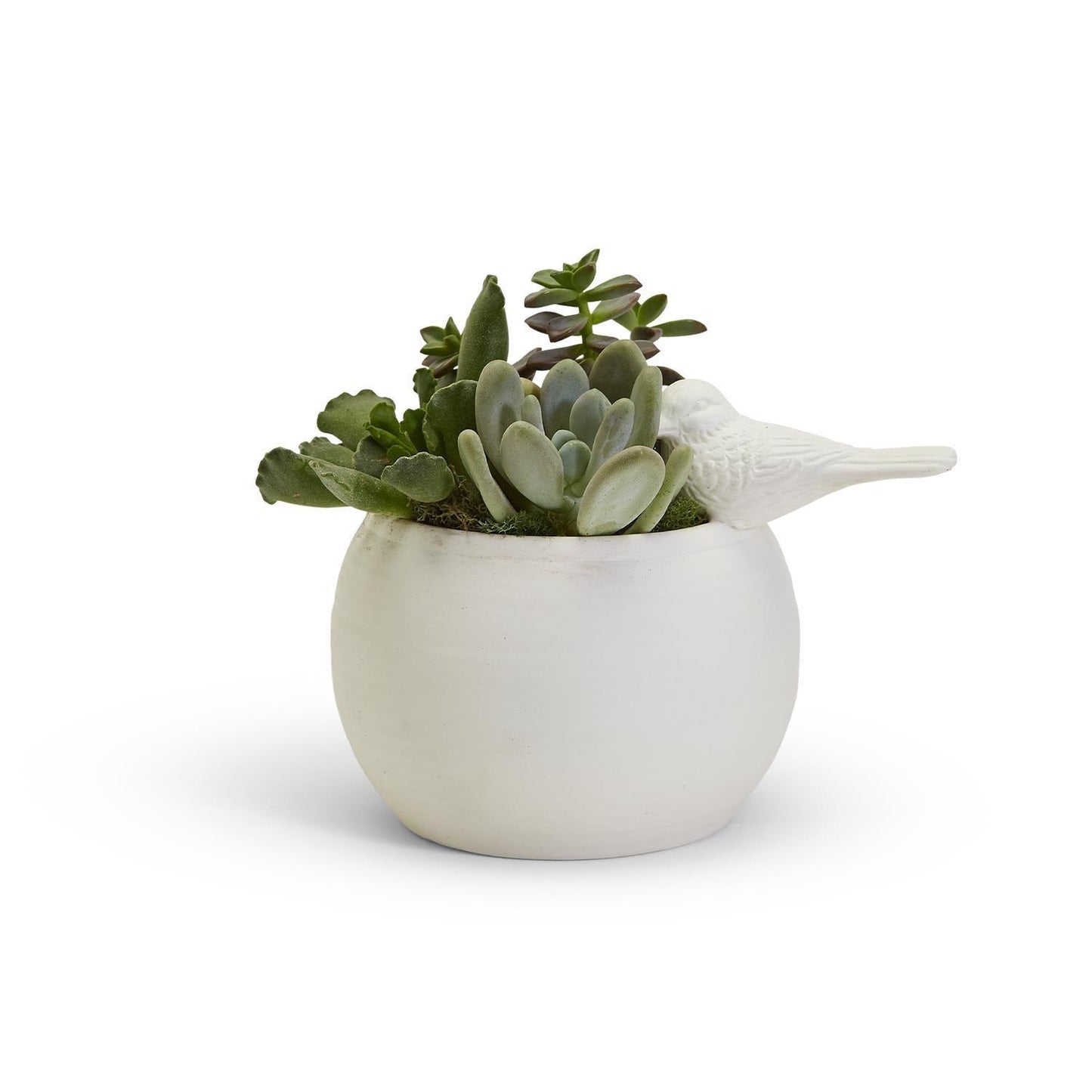 White Ceramic Planter Handmade with Bird Decorative Accent