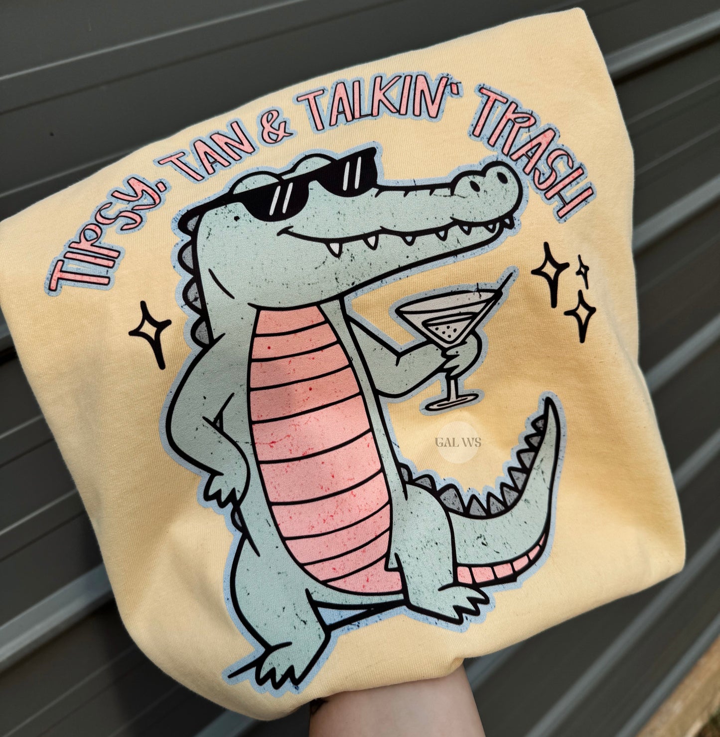 Tan, Tipsy, & Talking Trash Tee/Sweatshirt