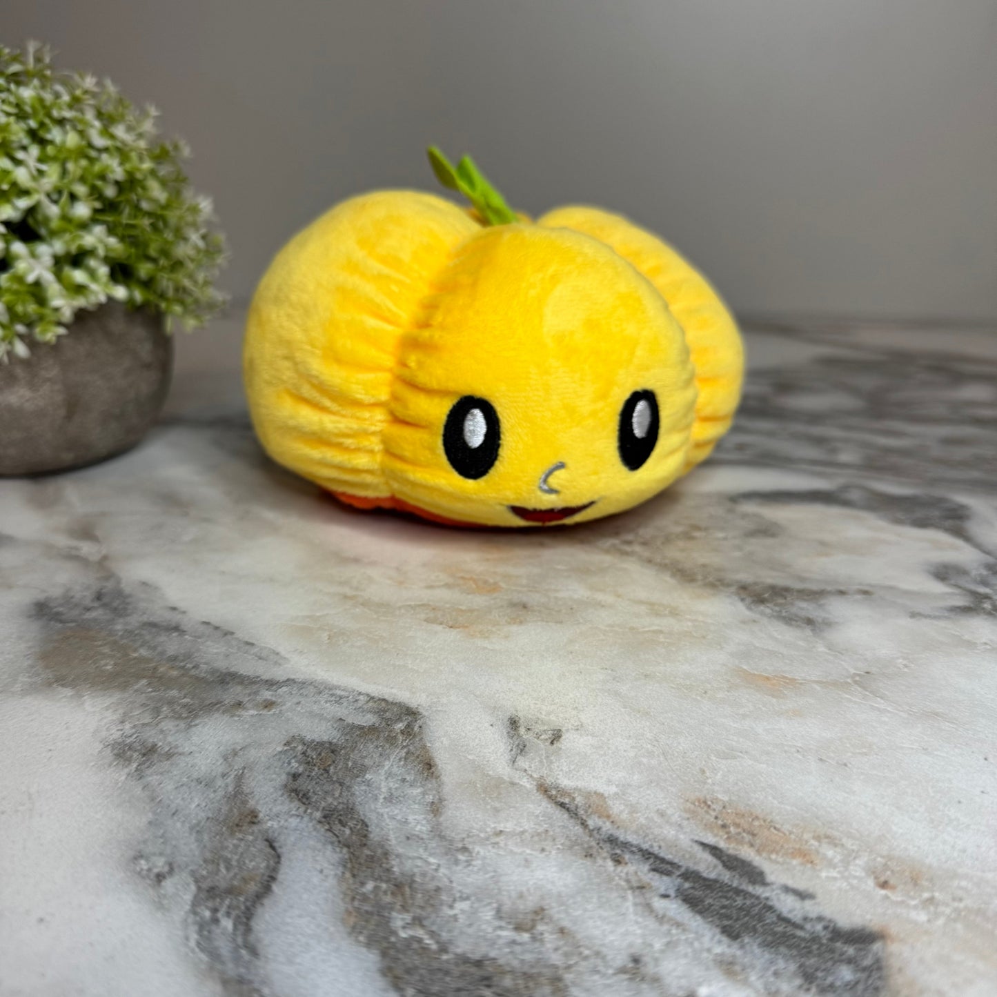 Moody Animals - Pumpkins, Ghost, Dog, & Cat - PREORDER 8/31-9/2