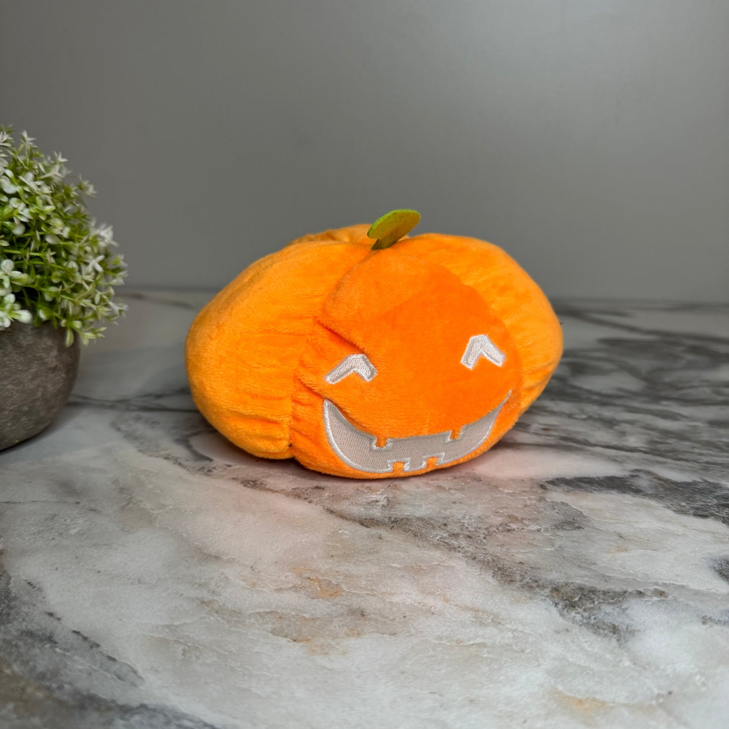 Moody Animals - Pumpkins, Ghost, Dog, & Cat - PREORDER 8/31-9/2