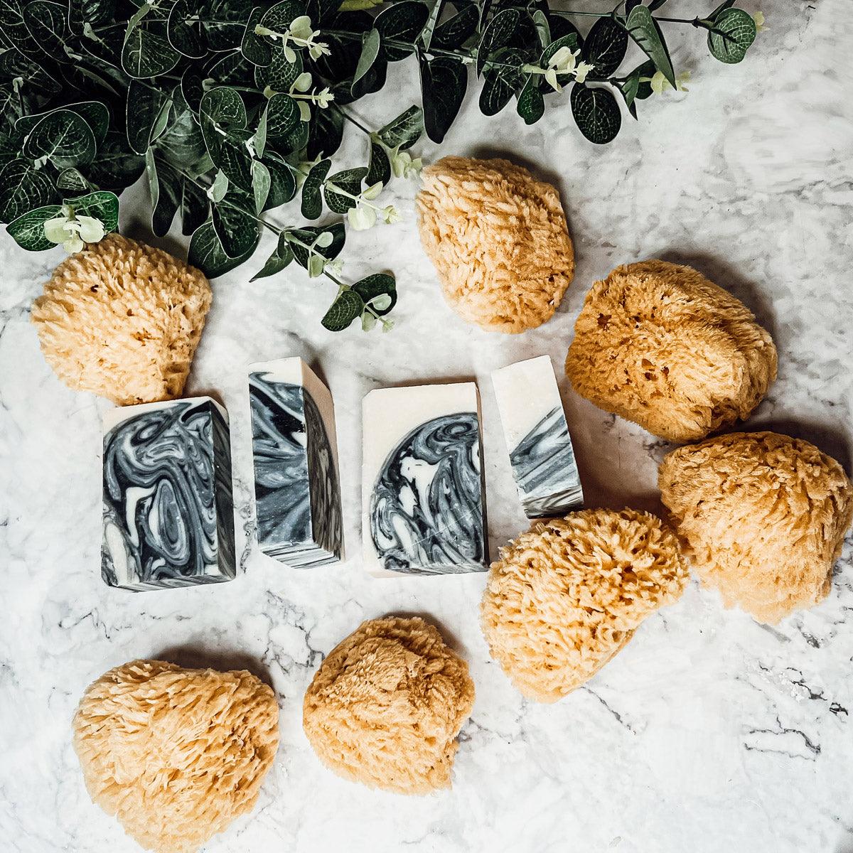 Exfoliation Sponges, Dead Sea Loofah Sponges