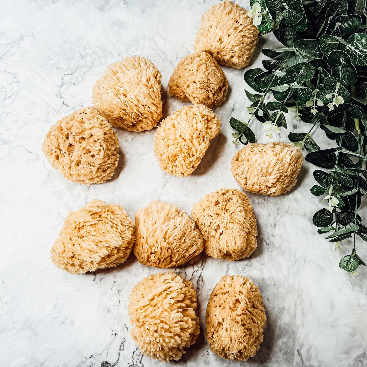 Dead Sea Sponges All Natural