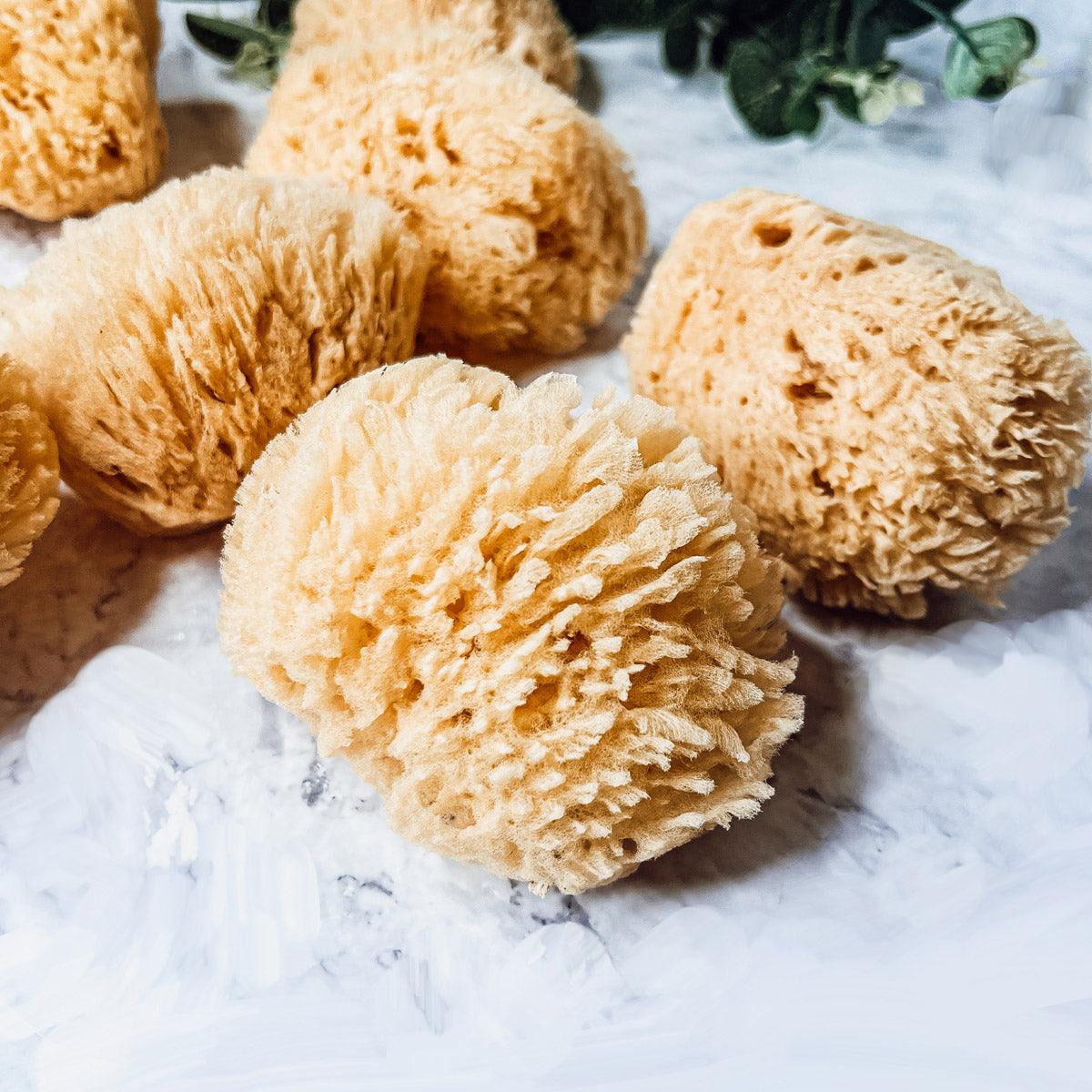 Exfoliating Sponges All Natural Loofahs