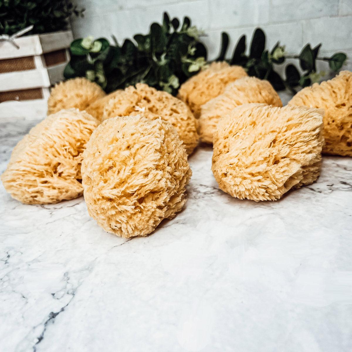 Hypoallergenic Body Sponges and Loofash, All Natural Body Cleaning Products