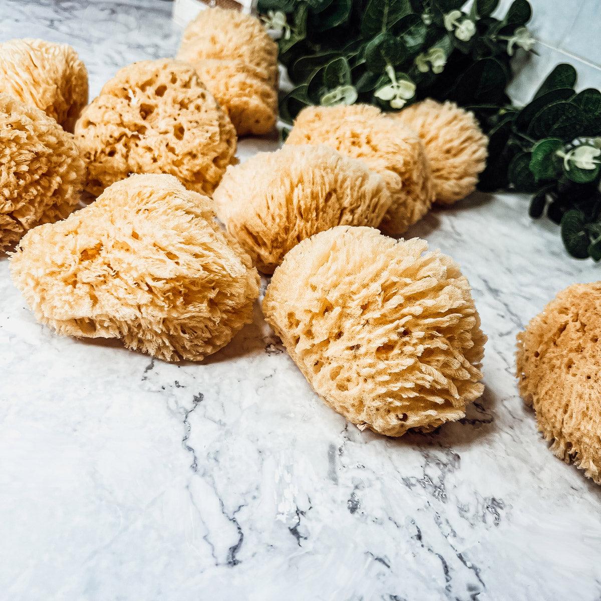 Best Natural Sponges, Dead Sea Sponges for Gentle Exfoliating