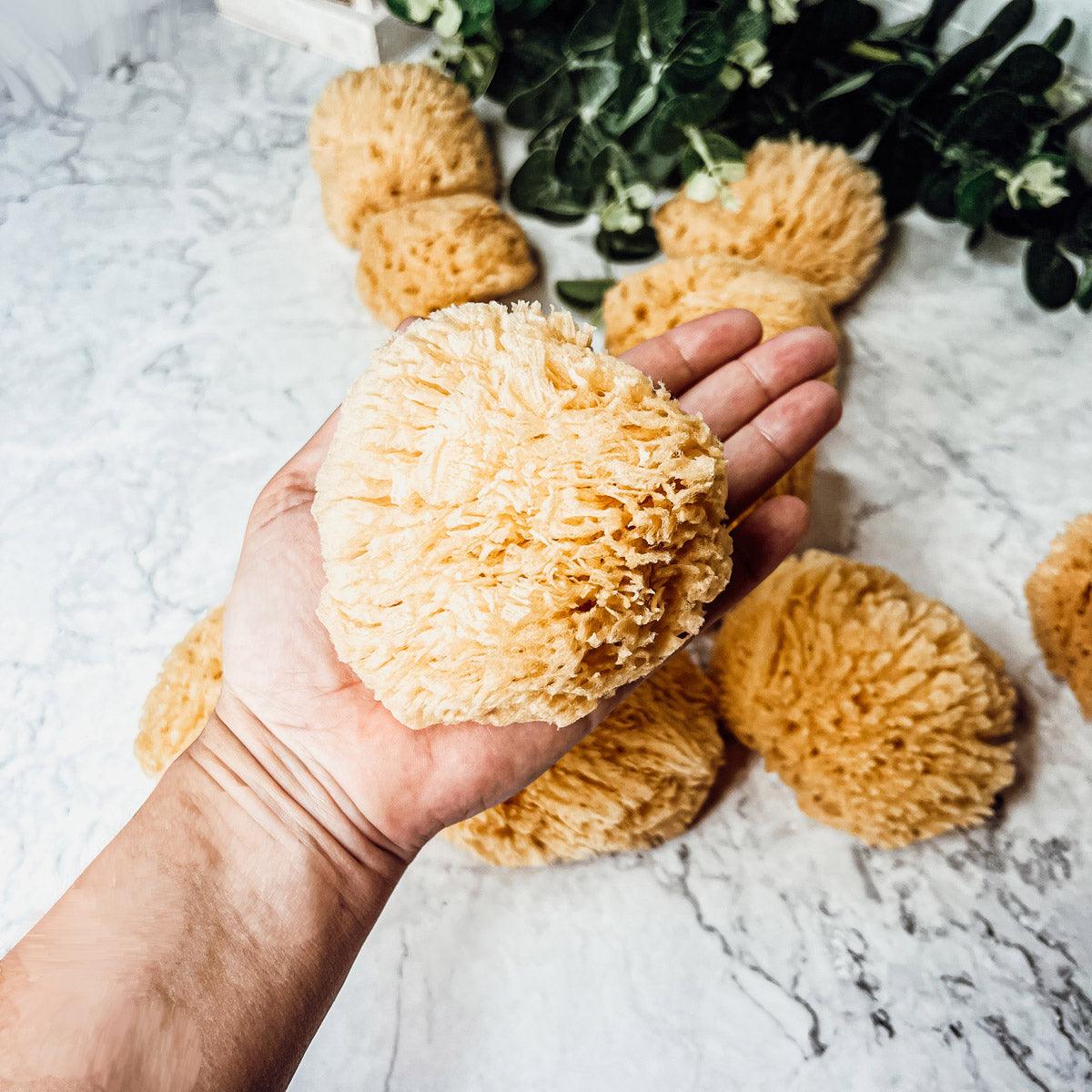 Natural Sea Sponges for Bath and Skin