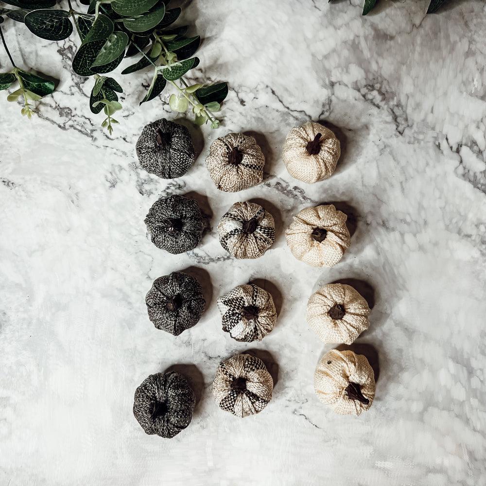 Mini Pumpkins 12pk