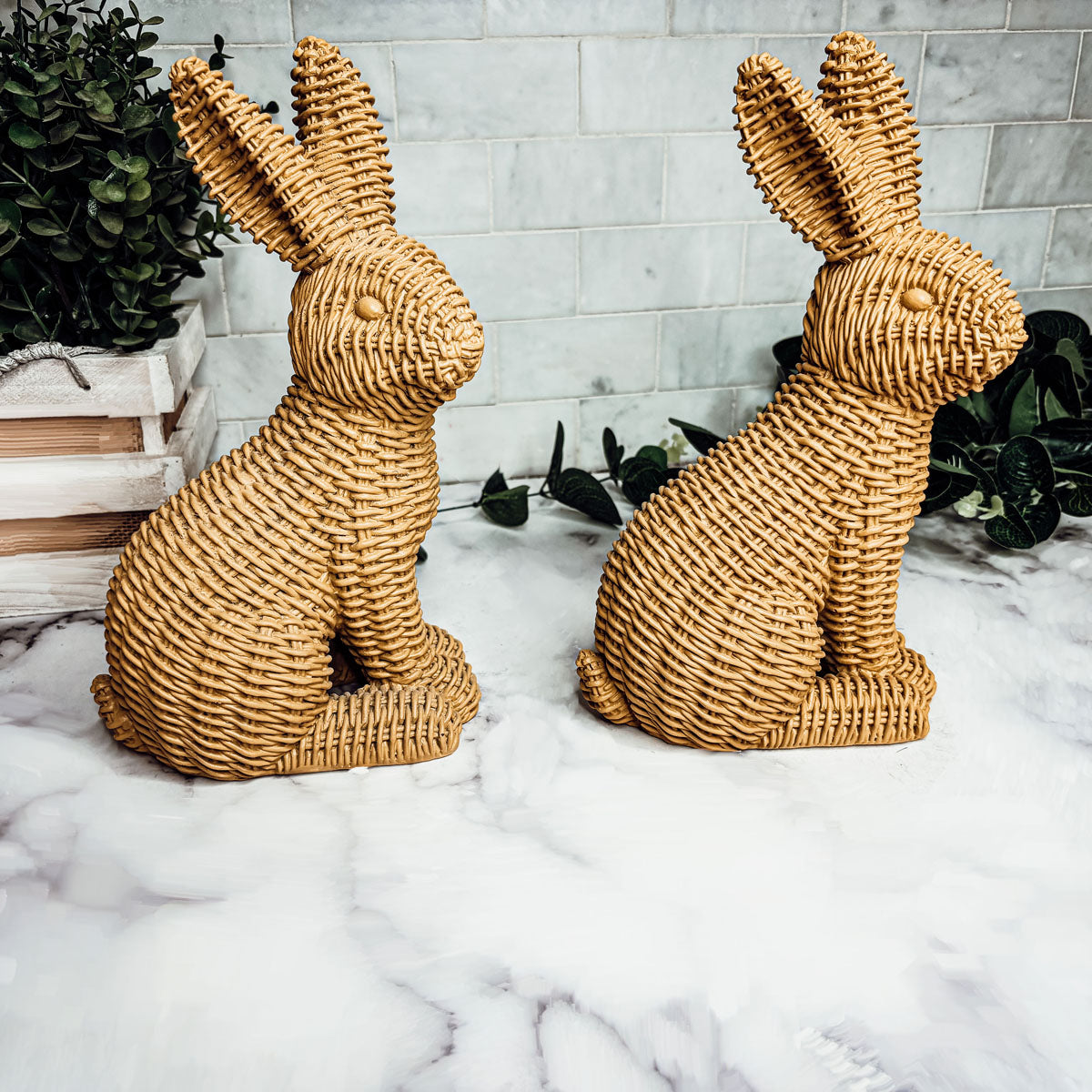 brown bunny
tan bunny
beige bunny
pink bunny
pink bunny white eyes
pink bunny rabbit
pink bunnies for sale
white bunny
white bunny pink eyes
white bunny for sale