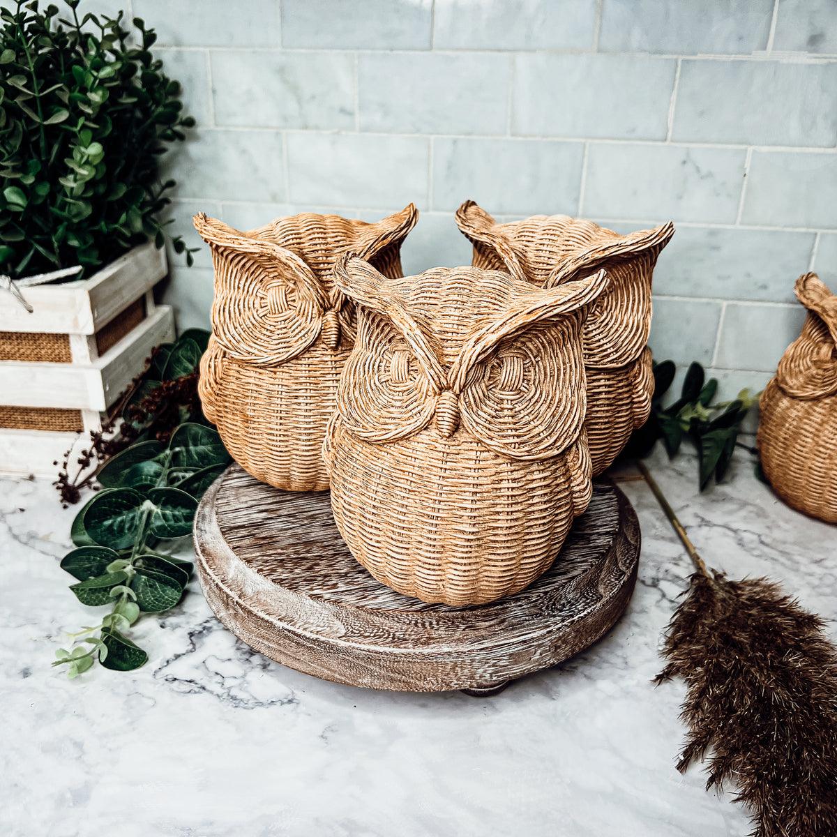 Owl Halloween Centerpiece Decorations
