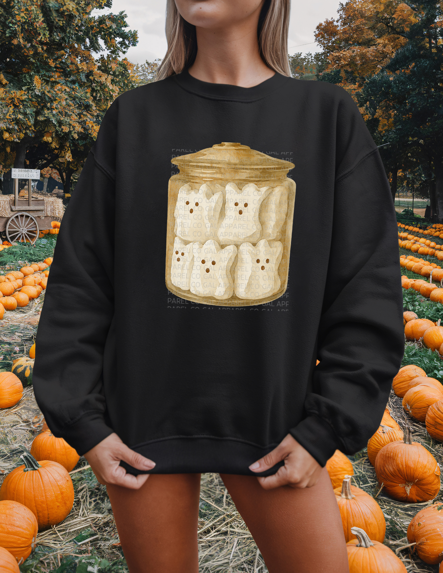 Spooky Sweet Spirits Jar Tee/Sweatshirt