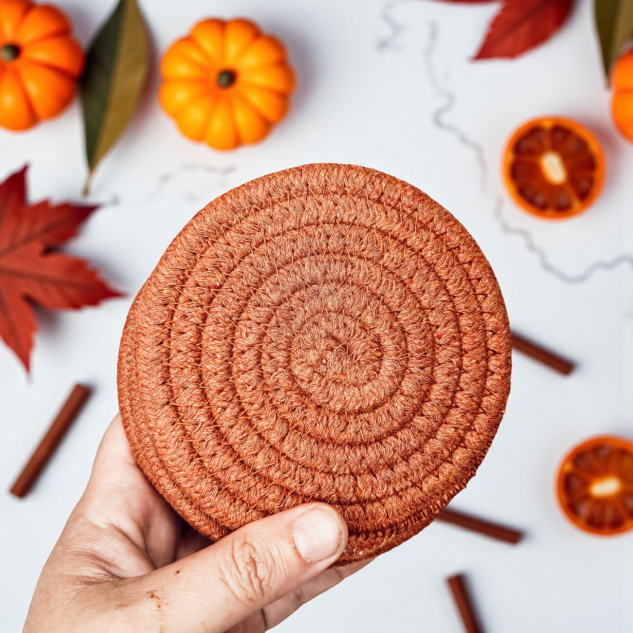 Natural rope braided coasters fall gift set neutral home decor
Jute braided coasters autumn colors gift bundle home accessories