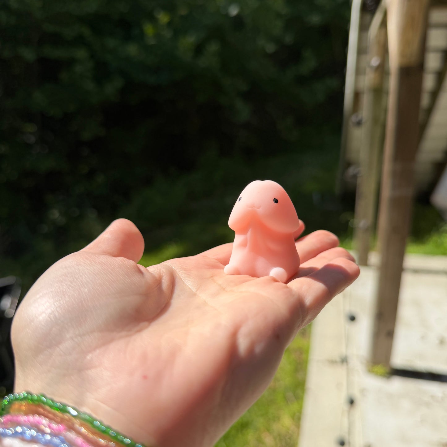 Adult, Penis Squishy