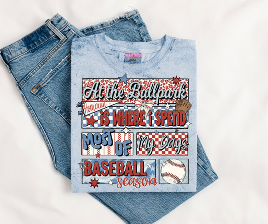 At The Ballpark - Baseball Season Graphic Tee or Crewneck Sweatshirt