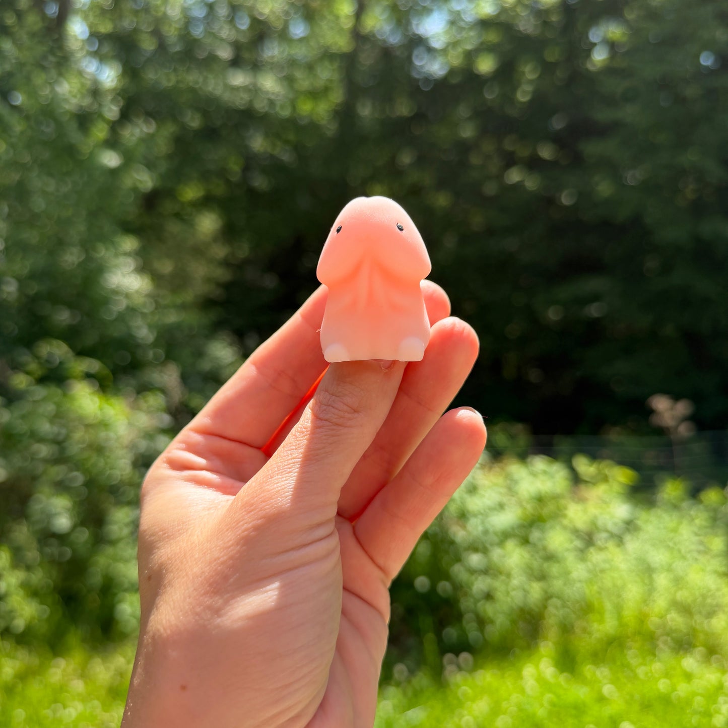 Adult, Penis Squishy