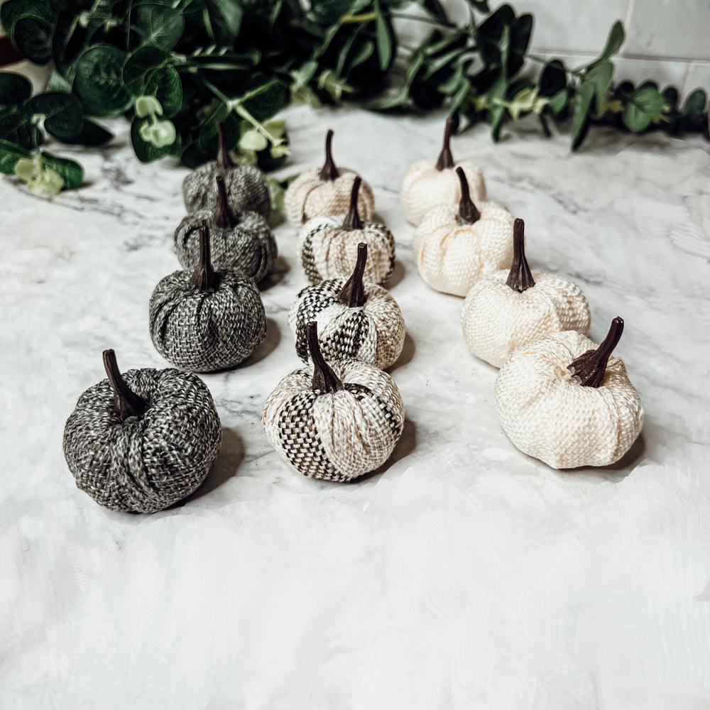 Mini Pumpkins 12pk