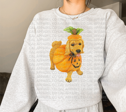 Pumpkin Spice Pup Tee/Sweatshirt