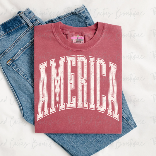 America Vintage Collegiate Graphic Tee or Crewneck Sweatshirt