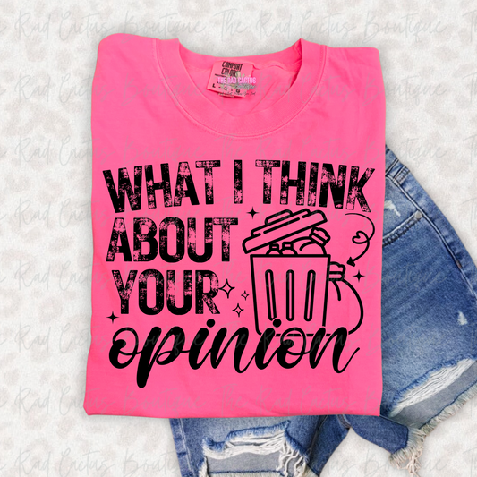 What I Think About Your Opinion Funny Graphic Tee or Crewneck Sweatshirt
