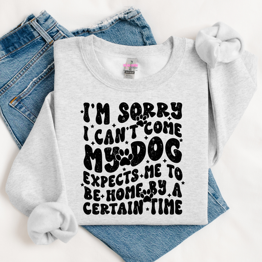 My Dog Expects Me Home By A Certain Time Graphic Tee or Crewneck Sweatshirt